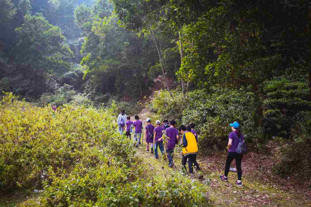 Chúng ta nên tham gia vào các lớp học kỹ năng sinh tồn thực tế 